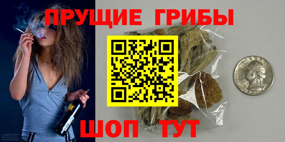 Псилоцибиновые грибы GOLDEN TEACHER Арзамас